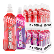 Carabao SPORT Isotonic Drink Combo Pack (24 x 500ml Bottle)